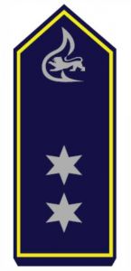 Schulterstück "Brandoberinspektor BF"